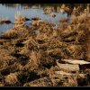 20121229_1031